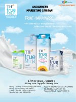 Nghiên cứu các chiến lược marketing tại công ty cổ phần thực phẩm sữa th – cụ thể ở sản phẩm sữa tươi