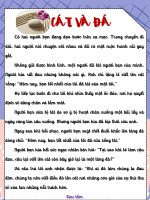 Cát và đá  tvdhst