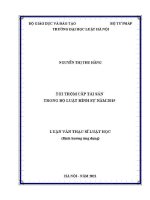 Luận văn thạc sĩ Luật học: Tội trộm cắp tài sản trong Bộ luật Hình sự năm 2015