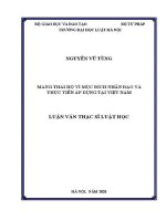 Luận văn thạc sĩ Luật học: Mang thai hộ vì mục đích nhân đạo và thực tiễn áp dụng tại Việt Nam