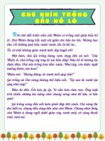 Chú nhím trồng bầu hồ lô  tvdhst