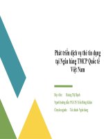 Slide luận văn thạc sĩ phát triển dịch vụ thẻ tín dụng VIB