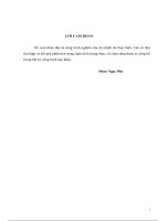 Chương trình khuyến nông chuyển giao tiến bộ kỹ thuật đến hiệu quả sản xuất, thu nhập của nông dân trồng lúa ở đbscl