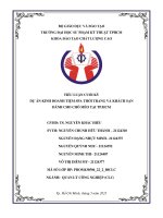 TIỂU LUẬN CUỐI KỲ DỰ ÁN KINH DOANH TIỆM SPA THỜI TRANG VÀ KHÁCH SẠN DÀNH CHO CHÓ MÈO TẠI TP.HCM