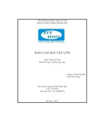 Báo cáo bài tập lớn đề bài trang web bán giày dép