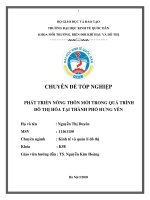 Chuyên đề tốt nghiệp: Phát triển nông thôn mới trong quá trình đô thị hóa tại thành phố Hưng Yên