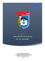 BiagData ( Dữ Liẹu lớn ) và tổng qun về MongoDB