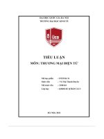 Tiểu Luận Môn  Thương Mại Điện Tử.pdf