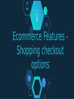 Ecommerce features   shopping checkout options