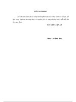 Phát triển công nghiệp gắn với bảo vệ môi trường trên địa bàn thành phố hà nội