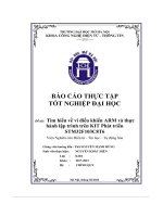 Tìm hiểu về vi điều khiển arm và thực hành lập trình trên kit phát triển stm32f103c8t6