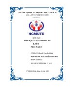 Báo cáo  an tòan thông tin lab 6 malware 2