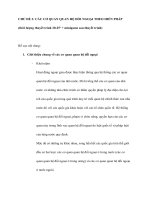 Chủ đề 3 các cơ quan quan hệ đối ngoại theo hiến pháp