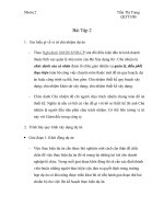 Em hiểu gì về vị trí chủ nhiệm dự án