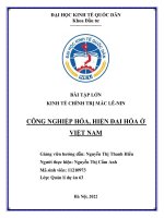 Bài tập lớn kinh tế chính trị mác lê nin công nghiệp hóa, hiện đại hóa ở việt nam