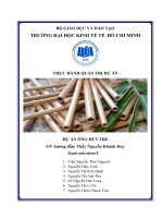 Thực hành quản trị dự án dự án ống hút tre