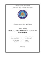 Báo cáo thực tập khoa kinh tế   công ty bưu vận nội địa và quốc tế đông dương