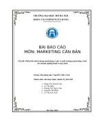 Bài báo cáo phân tích môi trường marketing vi mô và môi trường marketing vĩ mô của doanh nghiệp thuốc long châu