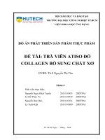 Đồ án phát triển sản phẩm thực phẩm đề tài trà viên atiso đỏ collagen bổ sung chất xơ