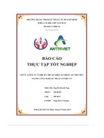 Báo cáo thực tập tốt nghiệp  công ty tnhh kỹ thuật điện tự động an trí việt