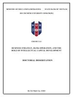 Business strategy, bank operation, and the role of intellectual capital development