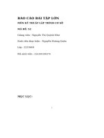 Báo cáo bài tập lớn môn kỹ thuật lập trình cơ sở mã đề 52