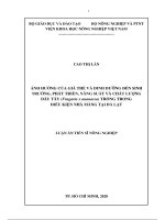 Ảnh hưởng của giá thể và dinh dưỡng đến sinh trưởng, phát triển, năng suất và chất lượng dâu tây (fragaria x ananassa) trồng trong điều kiện nhà màng