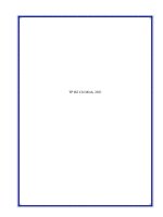 Chiến lược digital marketing cho thương hiệu bảo hộ xanh của công ty tnhh net group