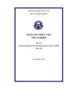 Báo cáo thực tập tốt nghiệp kế toán bán hàng và kết quả bán hàng tại công ty tnhh toàn thị