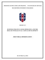 Business strategy, bank operation, and the role of intellectual capital development