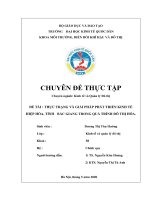 Chuyên đề thực tập: Thực trạng và giải pháp phát triển kinh tế Hiệp Hòa, tỉnh Bắc Giang