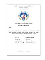 Chuyên đề thực tập tốt nghiệp: Xây dựng kế hoạch Marketing - Mix cho dịch vụ tư vấn giải pháp Ngân hàng số - UniDBS của công ty Cổ phần Tập đoàn Unicloud