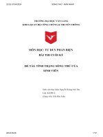MÔN HỌC:TƯ DUY PHẢN BIỆN BÀI THI CUỐI KỲ ĐỀ TÀI TÌNH TRẠNG SỐNG THỬ CỦA SINH VIÊN