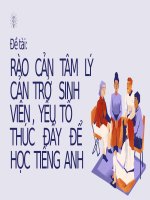 Rào   cản   tâm   lý   cản  trở   sinh   viên ,  yếu  tố  thúc    đẩy    để  học  tiếng  anh
