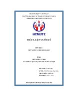 Tiểu luận cuối kỳ đề tài chủ nghĩa xã hội và thời kỳ quá độ lên chủ nghĩa xã hội