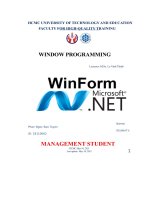 Window programming