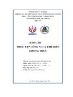 Báo cáo thực tập công nghệ chế biến lương thực
