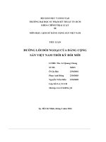 Tiểu luận đường lối đối ngoại của đảng cộng sản việt nam thời kỳ đổi mới