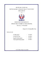 Ngành kinh doanh quốc tế môn kỹ thuật nghiệp vụ ngoại thương