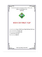 Báo cáo thực tập cơ quan thực tập công ty tnhh toyota thập nhất phong vĩnh long