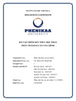 Phân tích báo cáo tài chính công ty cổ phần nam việt