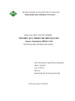 Đồ án   hd   tìm hiểu quy trình chế biến hạt sen (semen nelumbinis) đóng lon