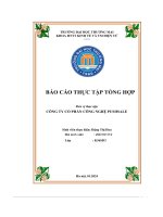 Báo Cáo Thực Tập Tổng Hợp Tại Công Ty Cổ Phần Công Nghệ Pushsale.pdf