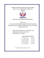 Lý luận của chủ nghĩa mác lênin về chủ nghĩa xã hội  liên hệ thực tiễn quá trình xây dựng chủ nghĩa xã hội ở việt nam