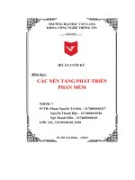 Đồ án cuối kỳ môn học các nền tảng phát triển phần mềm