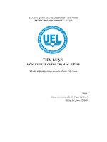 Tiểu luận  môn kinh tế chính trị mác lênin đề tài hội nhập kinh tế quốc tế của việt nam