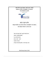 Bài tập lớn nhập môn ngành công nghiệp văn hóa