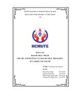 Báo cáo ảnh hưởng của bao bì thực phẩm đến sức khoẻ con người