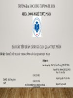 BÁO CÁO TIỂU LUẬN ĐÁNH GIÁ CẢM QUAN THỰC PHẨM Đề tài TÌM HIỂU VỀ THỊ GIÁC TRONG ĐÁNH GIÁ CẢM QUAN THỰC PHẨM