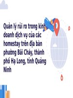 Quản lý rủi ro trong kinh doanh dịch vụ của các homestay trên địa bàn phường Bãi Cháy, thành phố Hạ Long, tỉnh Quảng Ninh